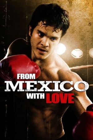 From Mexico With Love (2009) ქართულად