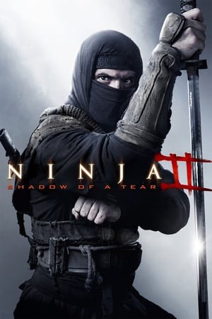 Ninja Shadow Of A Tear (2013) ქართულად