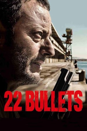 22 Bullets (2010) ქართულად